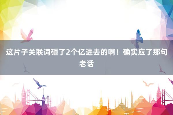 这片子关联词砸了2个亿进去的啊！确实应了那句老话