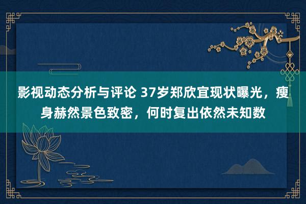 影视动态分析与评论 37岁郑欣宜现状曝光，瘦身赫然景色致密，何时复出依然未知数