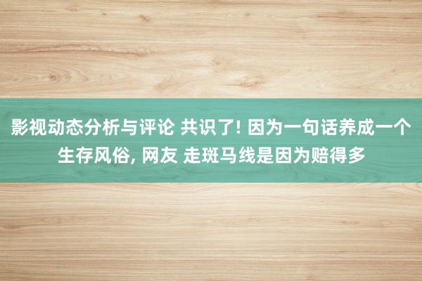 影视动态分析与评论 共识了! 因为一句话养成一个生存风俗, 网友 走斑马线是因为赔得多