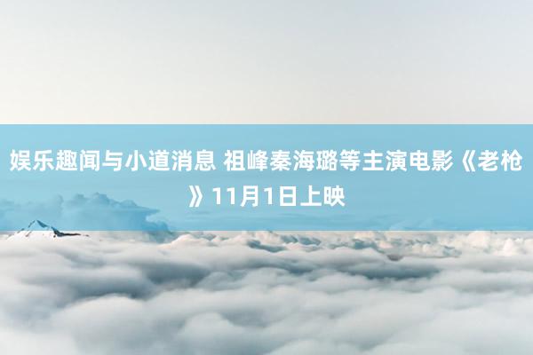 娱乐趣闻与小道消息 祖峰秦海璐等主演电影《老枪》11月1日上映