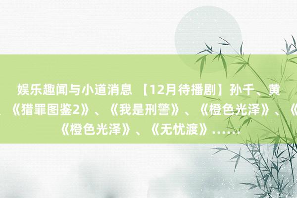 娱乐趣闻与小道消息 【12月待播剧】孙千、黄景瑜《冬至》、《猎罪图鉴2》、《我是刑警》、《橙色光泽》、《无忧渡》……