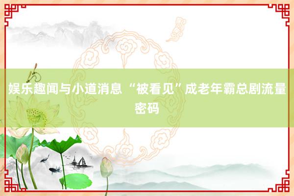 娱乐趣闻与小道消息 “被看见”成老年霸总剧流量密码