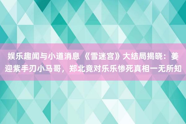 娱乐趣闻与小道消息 《雪迷宫》大结局揭晓：姜迎紫手刃小马哥，郑北竟对乐乐惨死真相一无所知