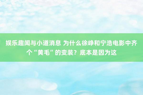 娱乐趣闻与小道消息 为什么徐峥和宁浩电影中齐个“黄毛”的变装？底本是因为这