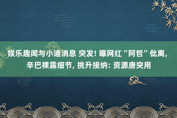 娱乐趣闻与小道消息 突发! 曝网红“阿哲”仳离, 辛巴裸露细节, 挑升接纳: 资源唐突用