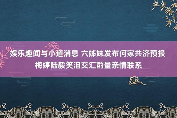 娱乐趣闻与小道消息 六姊妹发布何家共济预报 梅婷陆毅笑泪交汇酌量亲情联系