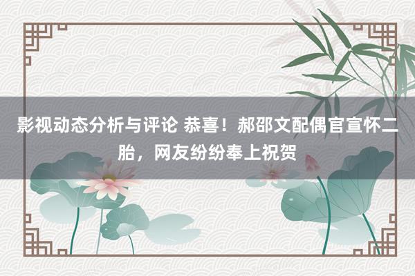 影视动态分析与评论 恭喜！郝邵文配偶官宣怀二胎，网友纷纷奉上祝贺