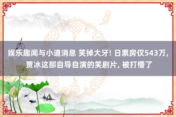 娱乐趣闻与小道消息 笑掉大牙! 日票房仅543万, 贾冰这部自导自演的笑剧片, 被打懵了